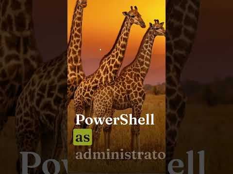 Why NEMOCLAW Won’t Run on Windows (DO THIS INSTEAD)